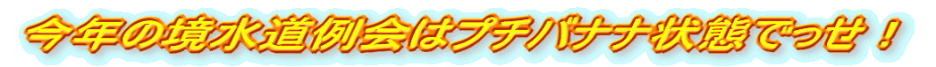 今年の境水道例会はプチバナナ状態でっせ!